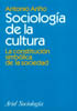 Sociologa de la cultura: La constitucin simblica de la sociedad